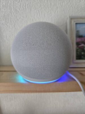 Amazon Echo Dot（第5世代）青ライト